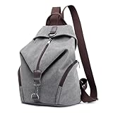 QSFZ NICHANGHUA Leinwand Weiblichen Rucksack Multifunktions Casual Rucksack for Teenager Mädchen Sommer Frauen Große Kapazität Schulter Tasche (Color : Gray, Size : 27cm x 15cm x 35cm)