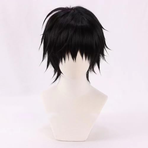 WCCNKK Anime Cosplay Perücke, Jujutsu Kaisen Fushiguro Toji Perücke, Kurze Schwarze Haare, Mit Perückenkappe, Für Party Alltag Halloween Perücke Cosplay, Dekoratives Geschenk