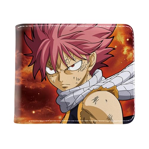 RYNDEX FAI-ry TA-il Geldbörse Anime Mittelgroß, Cartoon-Druck Kleiner Geldbeutel, PU Leder Geldbörse Kreditkartenhalter(Color:Multicolor 13)