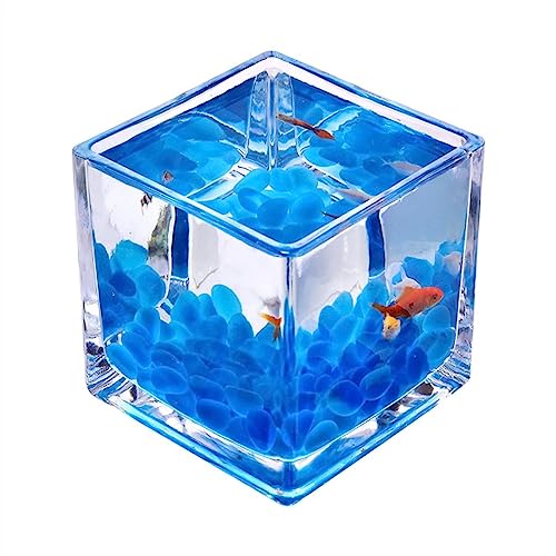 Aquarium Tank for Aquarien, quadratisches Glas-Aquarium, verdickte Tischplatte, transparentes Kampffisch-Tank, kleines ökologisches Aquarium-Tank Aquarium-Kit(Mittel)