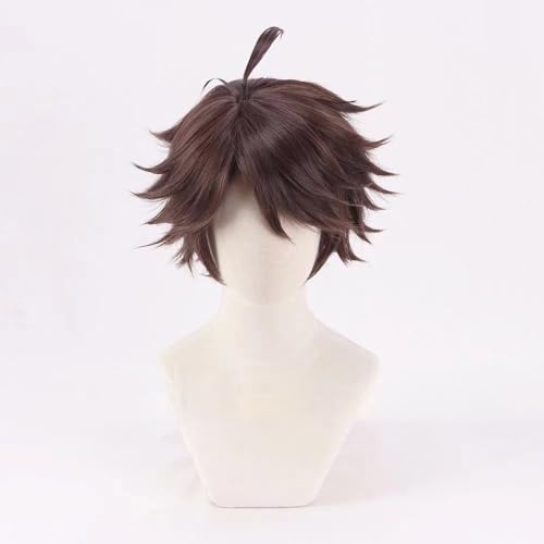 WCCNKK Anime Cosplay Haikyuu Oikawa Tooru Cosplay-Perücke, Kurze Braune Haare, Kostümparty, Anime-Show, Cosplay-Event, Geschenk Für Anime-Fans