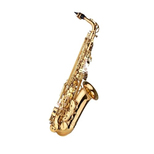 Gold lackiertes saxophon Eb Altsaxophon Messing lackiert Gold mit Tragetasche Handschuhe Riemen Pinsel von Sax Zubehör(Black)