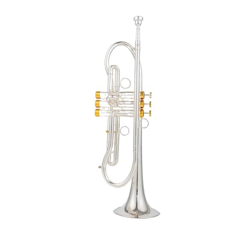 Professionelle Trompete Bb Tune Messing Vergoldete Oberfläche Professionelle Musikinstrumente Mit Koffer (Color : Silver)