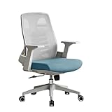 RASOANOA Arbeitsstuhl Ergonomischer Bürostuhl Ergonomischer Stuhl Bequemer Sitz-Computerstuhl Home Waist Study Chair Konferenzstuhl Liftsitz Gaming-Stühle Chaser of Light Ambitious