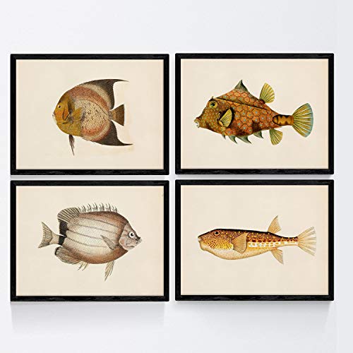 Set von 4 Platten mit bunten Fischen Vintage-Effekt braun Gelbton. Wahai. 4 verschiedene Fisch Zusammensetzung in A3-Format, Hintergrund Altpapier Jahrgang Posterpapier 250 gr hohe Qualität. Frameless