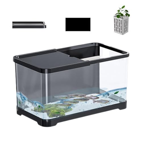 Kleines Aquarium-Starter-Set, dekoratives Salzwasser-Aquarium, transparentes Desktop-Fischaquarium mit Korb, vielseitiges, ökologisches Aquarium für Quallen, Gupy Shrimp Goldfsh