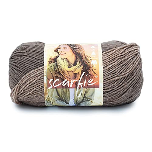 Lion Brand Yarn 826-231 Scarfie Garn, Acryl, Pilz/Blush, 1 Pack, 936 Foot