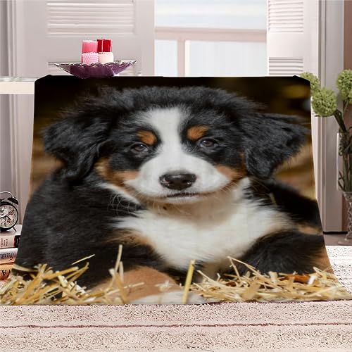 Kuscheldecke Berner Sennenhund Flauschige Wohndecke Haustier Hund Weich Fleecedeck Tagesdecke Sofadecke Wärme Flanell Decke für Couch Bett Stuhl Büro Sommer personalisierte Decke 130x150cm