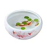 Aquarium Jingdezhen Keramik Aquarium Hand bemalt Desktop Fortune Goldfisch Schildkröte Fütterung Tank Topf Keramik Runde Blumentopf Aquarium-Kit(24x24x12cm)