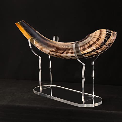 Shofar Ständer, Shofar Display Ständer, Acryl Shofar Display Ständer, Schofar Sammlung Display Ständer, für Schofar Heimdekoration (transparent)