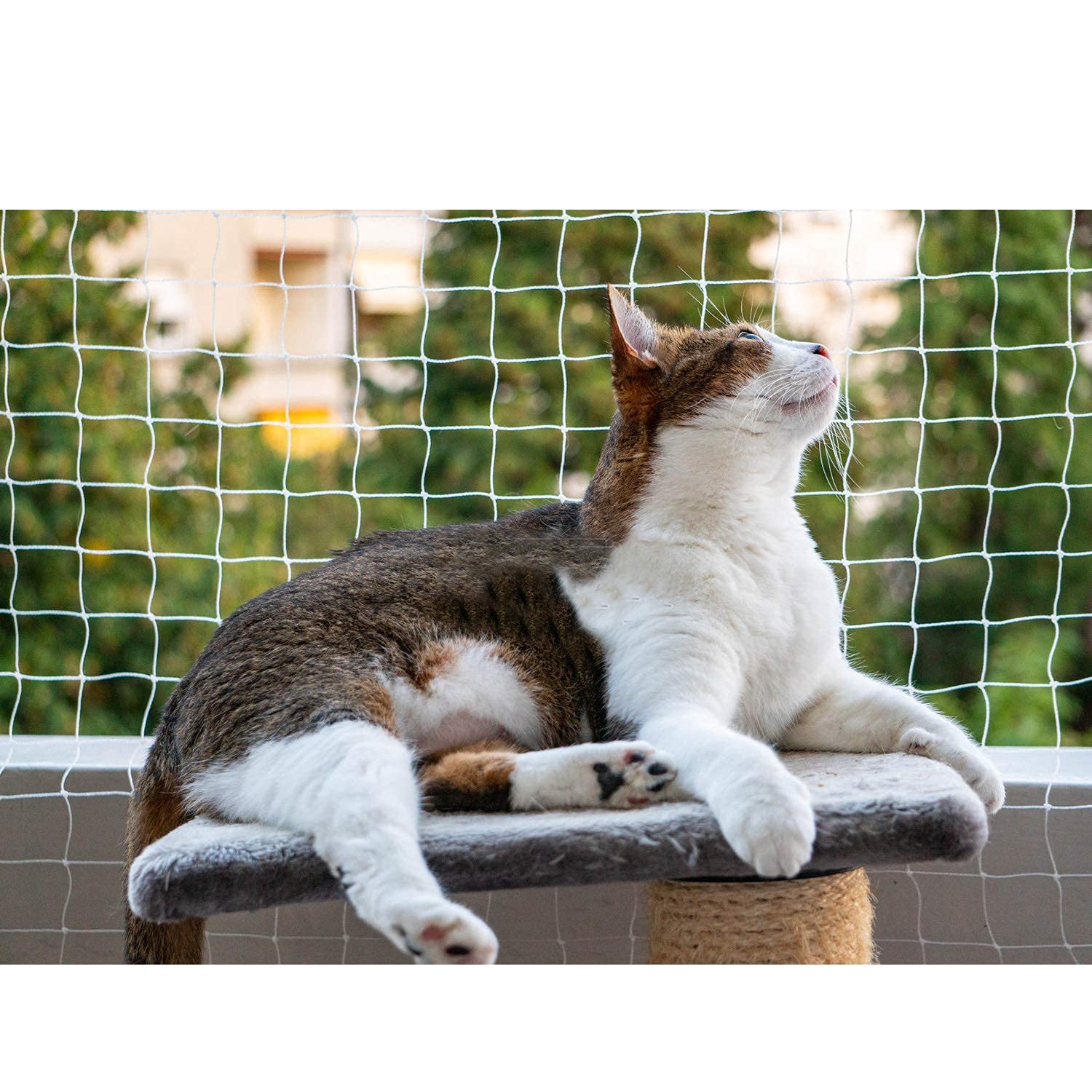 RUIBEI Katzen-Schutznetz Balkontreppenschutz Netz, Fliegengitter Moskitonetz, Moskitonetze für Fenster, großes Fenstergitter Netznetz Insektenfliegenwanzen Moskitonetz Türnetz Weiß