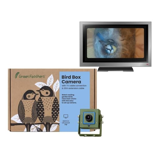 Green Feathers Wildlife 700TVL Vogelbox-Kamera mit Nachtsicht, 940 nm, unsichtbares Infrarot, inkl. 20 m Video- und Stromverlängerungskabel