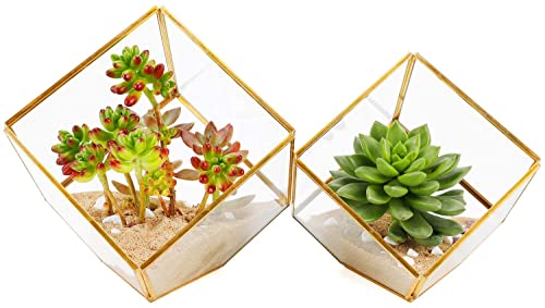 ElegantLife Geometrisches dekoratives unregelmäßiges Terrarium, klares Glas-Pflanzgefäß, Tischplatte, Sukkulenten, Moos, Blume, Pflanzkasten, Pflanzgefäß, schwarz, DIY (keine Pflanzen) (kubisches