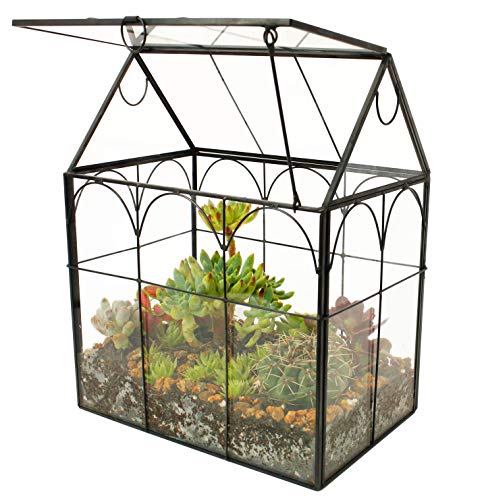ElegantLife Geometrisches Terrarium aus Glas für Sukkulenten und Luftpflanzen (Keine Pflanze im Lieferumfang enthalten)