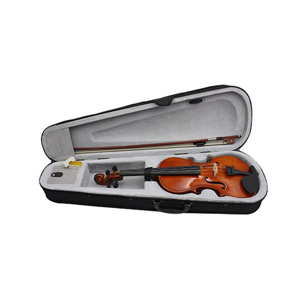 Bdghay Violine 4/4, Musikinstrumente für Erwachsene und Kinder, mit Hartschalenkoffer, Bogen, ideal für Anfänger