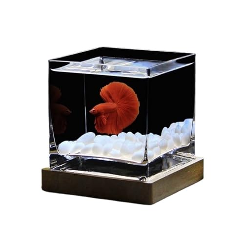 Aquarium Quadratisches, hochtransparentes Glasaquarium, spezielles Kampffischbecken mit Deckel, tropisches Fischbecken, Hydrokulturvase, Blumenvase, kleine Fischbecken for den Schreibtisch Aquarium-Ki