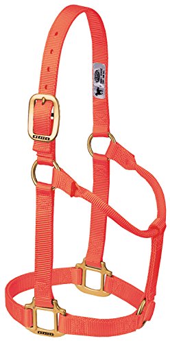 Weaver Leather Original Non Adjustable Halter Med. Knallorange