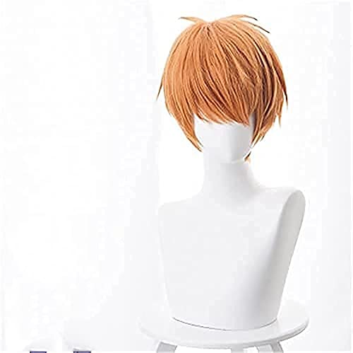 LINLINCD-Wig Anime Cosplay Weihnachts-Anime-Cosplay-Perücke for Obstkorb Soma Souma Kyo Mützen-Haarteile Halloween Kostümparty Karneval Nachtleben Konzerte Hochzeiten Kostümzubehör