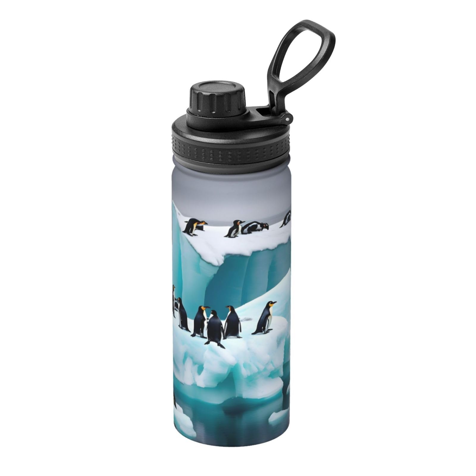 YQxwJL Wasserflasche mit Pinguin-Aufdruck auf dem Eisberg, 530 ml, Edelstahl-Flasche, Sport-Trinkflasche für Damen und Herren