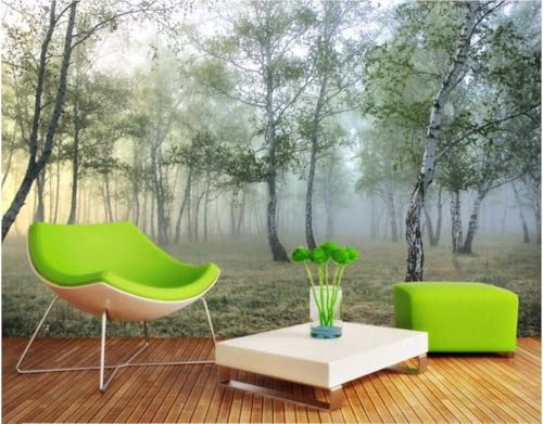 Birkenwald-Nebel 3D Tapete Poster Restaurant Schlafzimmer Wohnzimmer Sofa TV Dekorative Wand-350cm×256cm