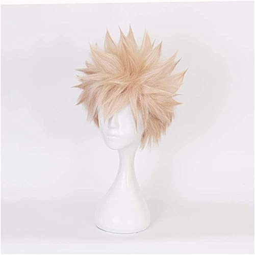 LINLINCD-Anime Coser Wig One Piece Nami Cosplay Perücken Hitzebeständig Kunsthaar Kostüm Teil Perücke Orange Halloween Karneval Party Wig