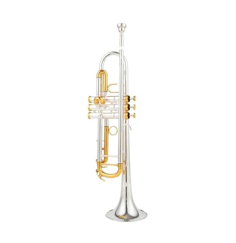 Bb Kleine Trompete Silber Golden Key Professionelle Musikinstrumente Mit Koffer