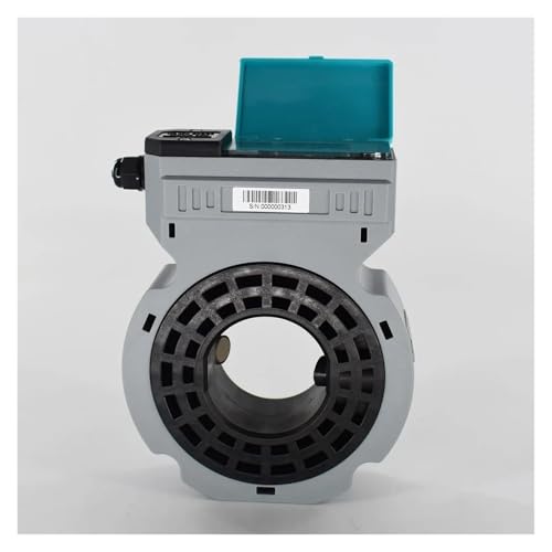 GABEEIEZC ASW-1-K DN65 DN80 Flüssigkeitsdurchflussmesser IP68 Wasserzähler Angetrieben RS485 Bewässerung(Flowmeter DN80)