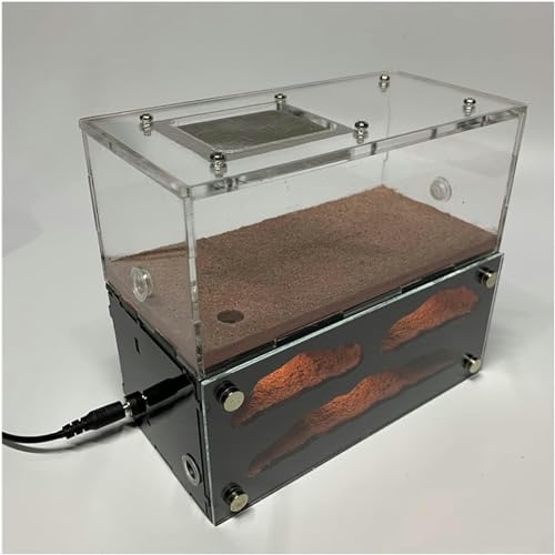 3 Lichter Ameisennest Pädagogisches Ameisenfarm Ameisen Haus Gips Ant House Insekt Villa Ameisenhaufen Ant Nest Habitat Pet Farmen Kit Formicarium Display Box-1