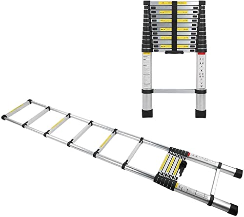 Ausziehbare Teleskopleiter aus Aluminium, 6,2 m/5 m/3,8 m/3,2 m/2,9 m/2,6 m/2 m hoch, Teleskopleitern für Dachbodenarbeiten zu Hause, Wohnmobil, Außenbereich, Tragkraft 150 kg (Größe: 2,6 m/(Silber 2