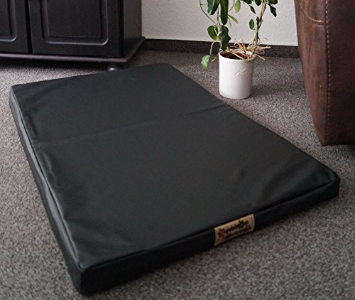 Hundebettenmanufaktur Orthopädische Hundematratze mit antiallergischer Kokosmatte Hundebett Kunstleder Größe und Farbe wählbar (90 cm X 60 cm, schwarz)