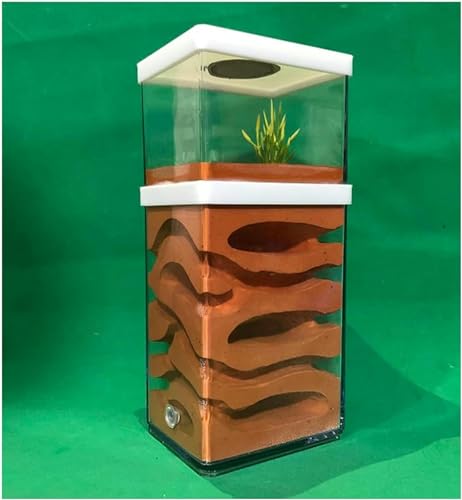 Transparentes Ameisenfarm AntHouse Ameisennest Gips Ameisen Haus Beton Insekt Villa Ameisenhaufen Ant Nest Pet Farmen Kit Formicarium Display Box-1