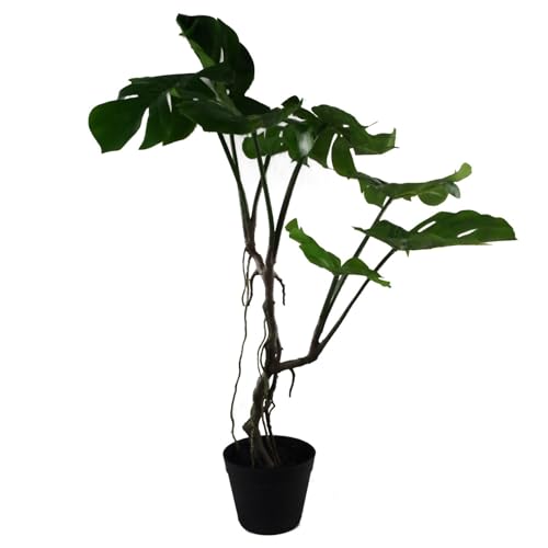 Leaf LEAF-7542 Kunstpflanze mit gedrehtem Stiel, Monstera-Ranke, 60 cm, 59 cm