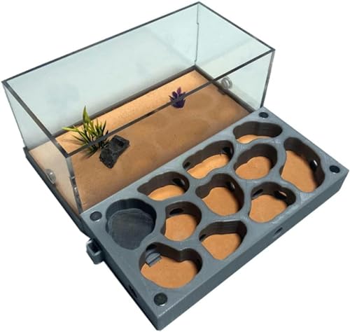 Acryl Ameisennest Ameisenfarm Gips Ameisenhaus Formicarium Ameisen Zucht Box Ant Nest Farm Lebende Ameisen (Color : A)-1