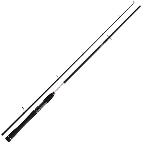 DAIWA Spinnrute Silver Creek Sea Trout, 3.05m 8-35g