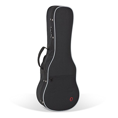 ESTUCHE STYROFOAM UKELELE SOPRANO RB650 externas 59x24x18x11,5cm - internas 55,5x18x14,5x7cm.