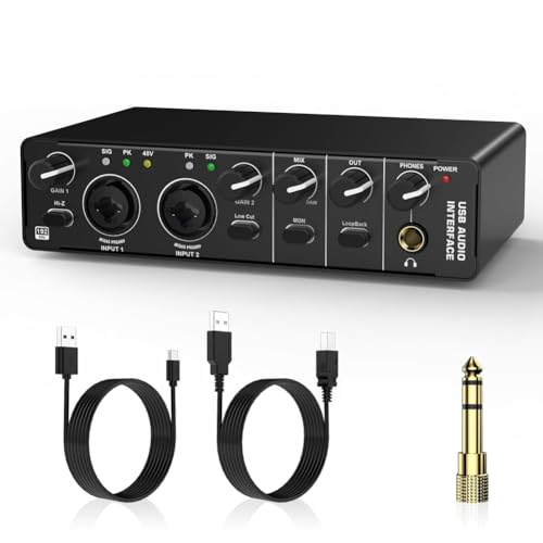 Haztholf USB-Audio-Schnittstelle, 2 Eingänge, 2 Ausgänge mit 48 V Phantomspeisung für Aufnahme, für Gitarrist, Sänger, Podcaster