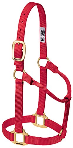 Weaver Leather Original Nicht verstellbares Halfter (rot, Avarage Horse/Yearling Draft)