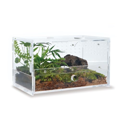 WBHONGHUI Transparentes Terrarium für Reptilien, Acryl, mit Riegel, perfekt für Amphibien und Wirbellose wie Spinnen, Frösche usw., Größe x x Zoll, horizontal oder vertikal