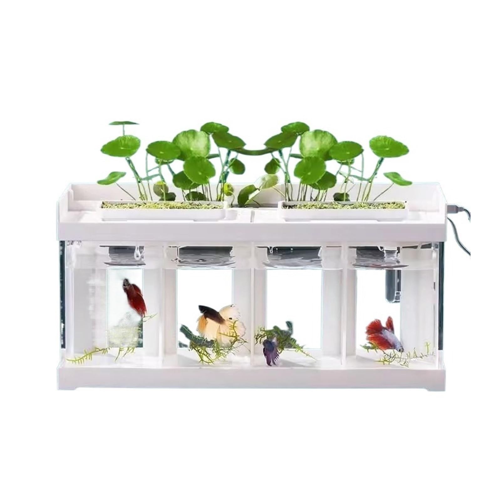 Aquarium Aquarium mit 4 Fächern, transparentes Acryl, for den Schreibtisch, Meeresfischzucht, Spezialtank, kreatives Kampffischaquarium mit weißer Abdeckung Aquarium-Kit