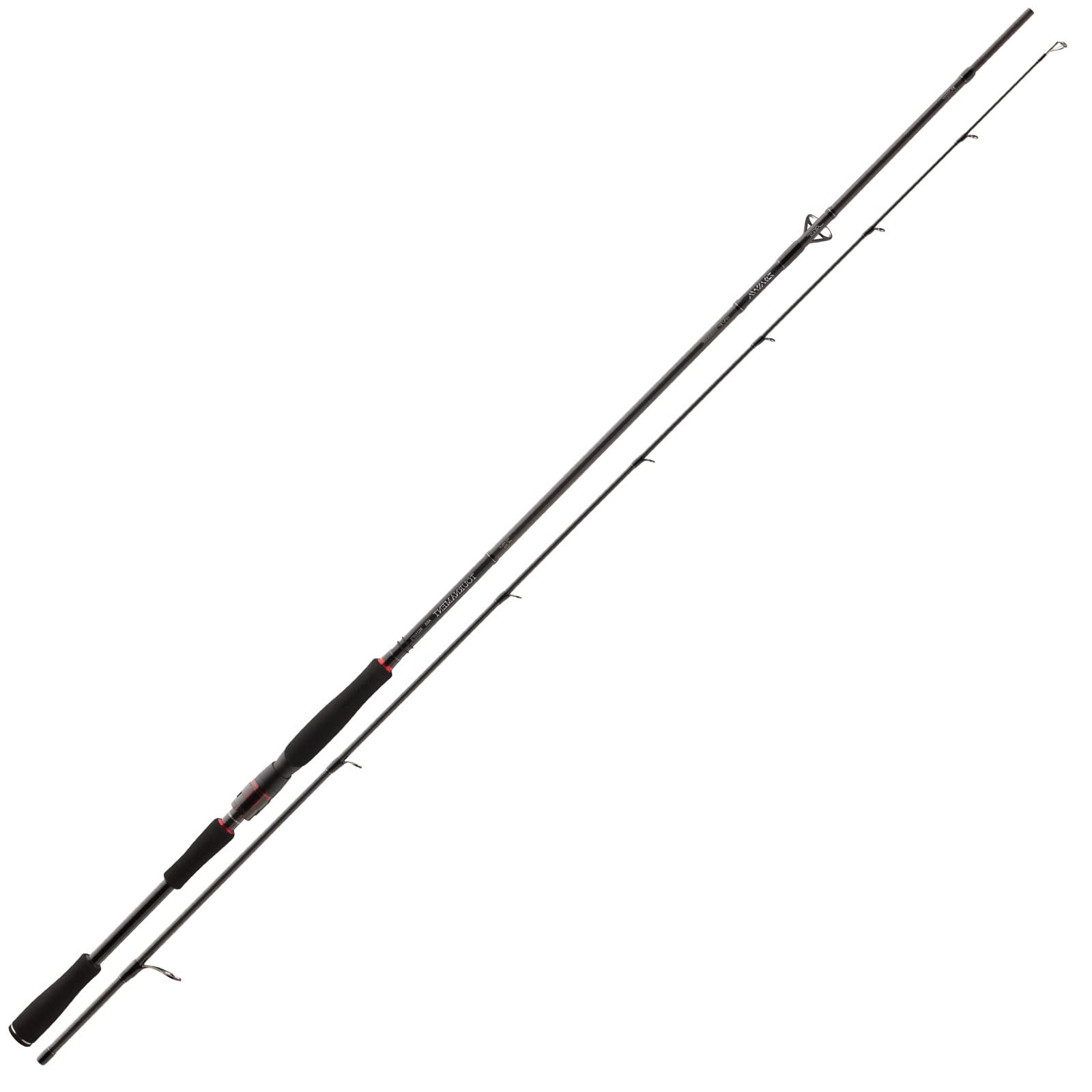 Daiwa TN AGS Spin 2.70m 14-42g Premium Rute