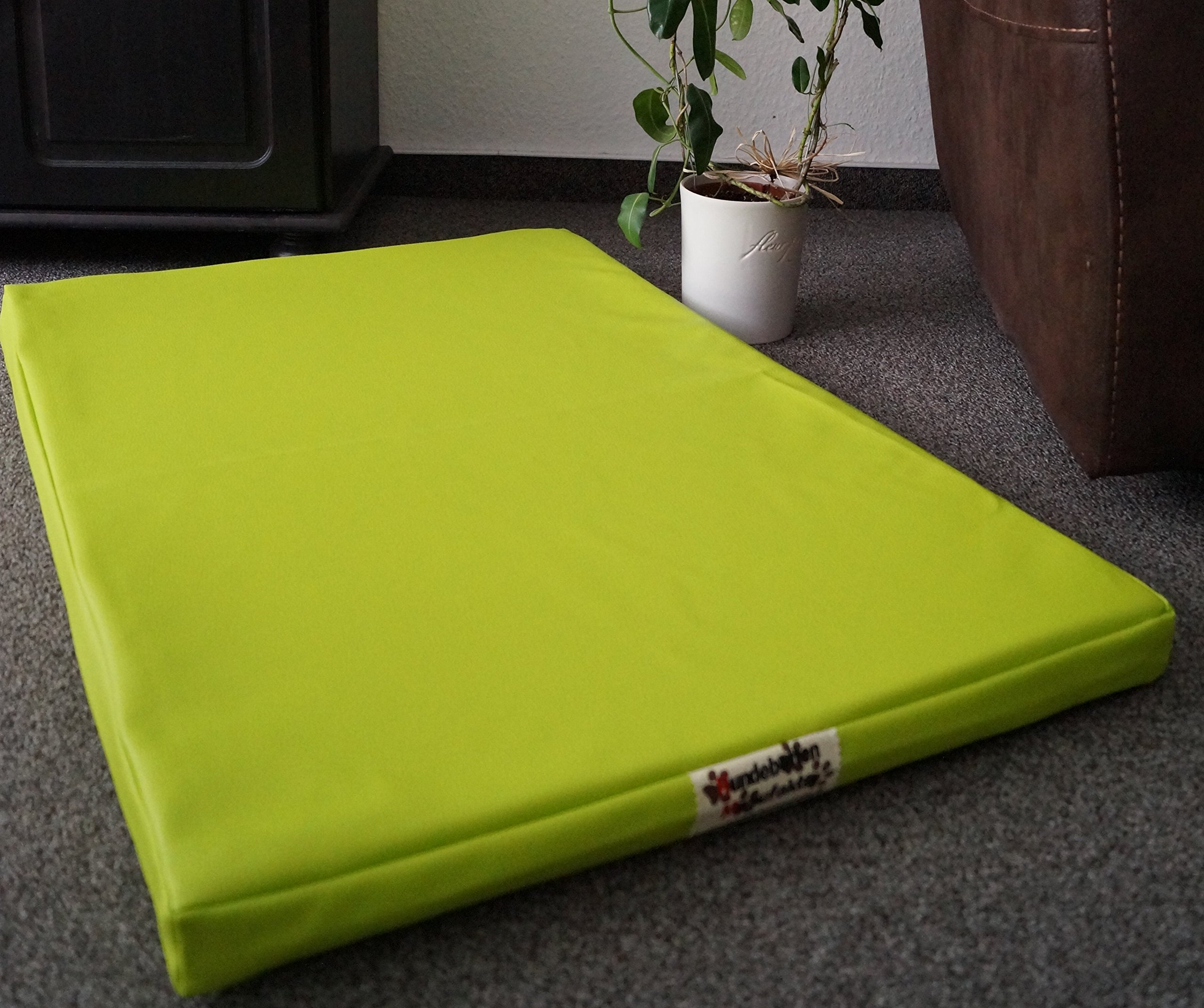 Hundebettenmanufaktur Orthopädische Hundematratze mit antiallergischer Kokosmatte Hundebett Kunstleder Größe und Farbe wählbar (60 cm X 40 cm, Limone)