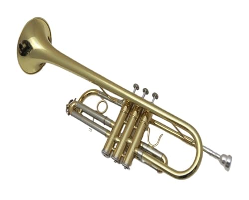 Standard-Messing-Anfänger von Brass School spielen das Trompeteninstrument in C-Tonart professionell