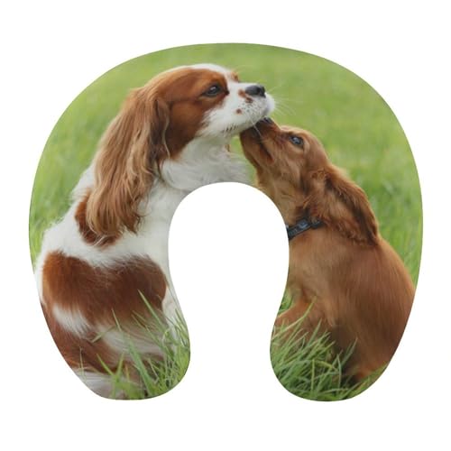 HABXNJF Memory Foam U-förmiges Reise-Nackenkissen, Cavalier King Charles Spaniel Reisekissen, Nackenkissen für Reisen, Auto, Büro