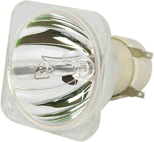 BL-FU240A / SP.8RU01GC01 Projektorlampe ohne Gehäuse für OPTOMA DH1011 EH300 HD131X HD25 HD25-LV HD2500 HD30 HD30B