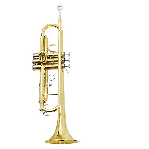 Trompete Messing Goldene B-flache Trompete-Instrumentenleistung Für Anfänger