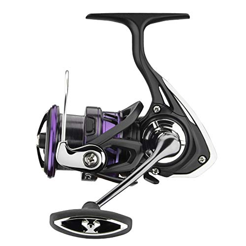 Daiwa Angelrolle Spinnrolle Stationärrolle - Prorex X LT4000-C