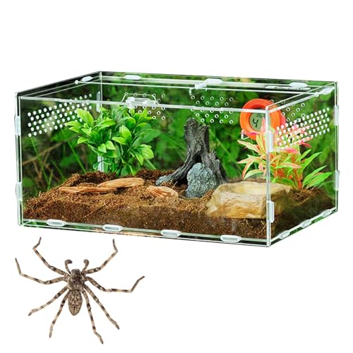 Reptilien-Haustier-Zuchtbox, 820 g, Schlangenfütterung, Zuchtbox, transparent, Vogelspinnen-Gehege, transparent, Reptilien-Futterbox, Reptilien-Terrarium, Lebensraum für Schlangenschildkröten,