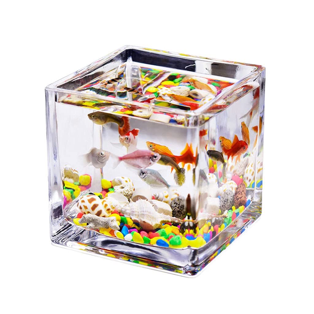 Kleiner Tank Aquarium, tragbare Fischschale Tank, Quadratisches transparentes Glas Mini-Aquarium for den Haushalt im Büro Wassergrastank Betta-Fische Zierfische Kleines Aquarium(4.72IN)