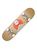 HIDETOSHI WAKASHIMA Street Skateboard 31 x 8 Zoll - Komplettboard für Einsteiger aus stabilem Holz und Aluminium, geeignet für Kinder, Teenager und Erwachsene mit verschiedenen Motive (Ikuno)