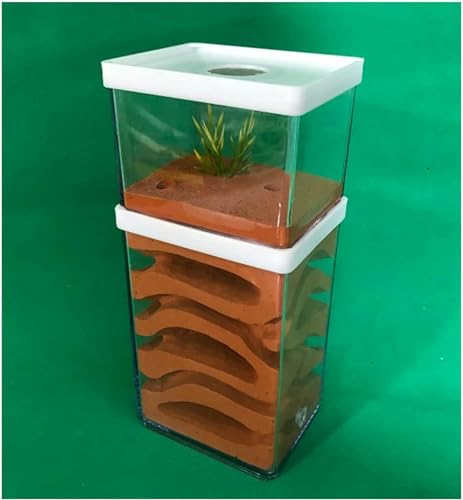 AntHouse Ameisennest Box Insektenkäfig Gips Ant Farm Insekt Villa Educational Formicarium Habitat Für Haus Ameisen Geburtstagsgeschenk-1